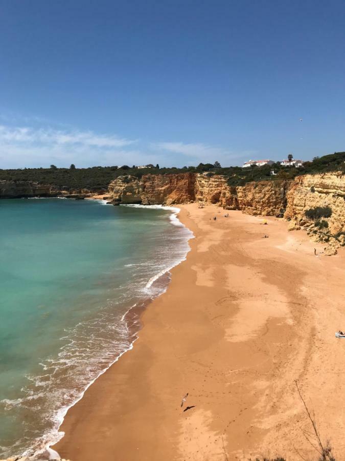 Apartment Albufeira Algarve Eksteriør billede